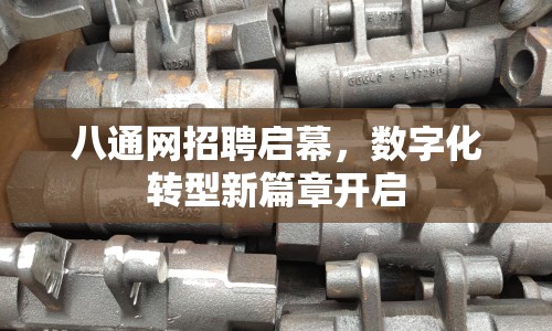 八通網(wǎng)招聘啟幕，數(shù)字化轉(zhuǎn)型新篇章開啟