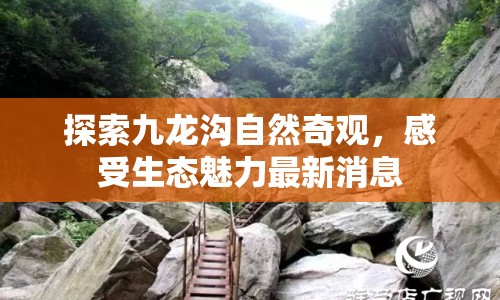 探索九龍溝自然奇觀，感受生態(tài)魅力最新消息