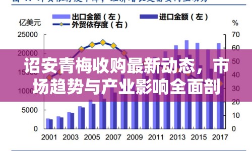 詔安青梅收購最新動(dòng)態(tài)，市場(chǎng)趨勢(shì)與產(chǎn)業(yè)影響全面剖析