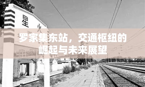 羅家集東站，交通樞紐的崛起與未來(lái)展望