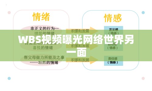 WBS視頻曝光網(wǎng)絡(luò)世界另一面