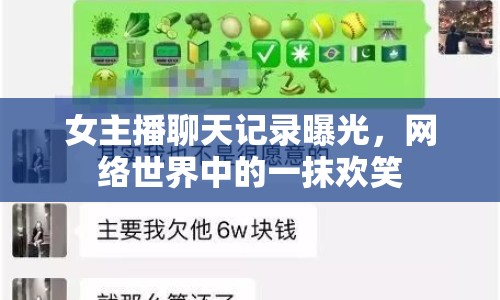 女主播聊天記錄曝光，網(wǎng)絡(luò)世界中的一抹歡笑