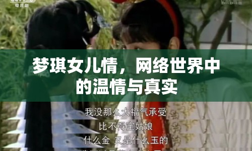 夢(mèng)琪女兒情，網(wǎng)絡(luò)世界中的溫情與真實(shí)