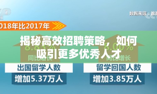 揭秘高效招聘策略，如何吸引更多優(yōu)秀人才