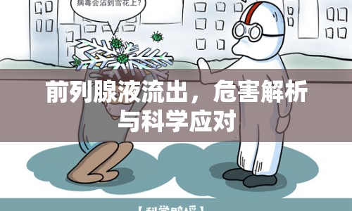 前列腺液流出，危害解析與科學應(yīng)對
