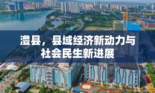澧縣，縣域經(jīng)濟(jì)新動(dòng)力與社會(huì)民生新進(jìn)展