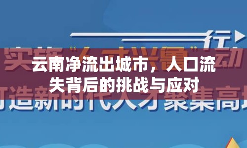 云南凈流出城市，人口流失背后的挑戰(zhàn)與應(yīng)對(duì)