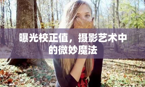曝光校正值，攝影藝術(shù)中的微妙魔法