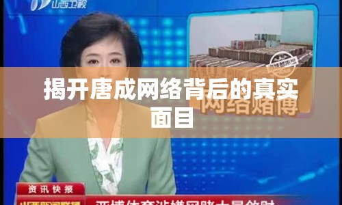 揭開唐成網(wǎng)絡(luò)背后的真實(shí)面目