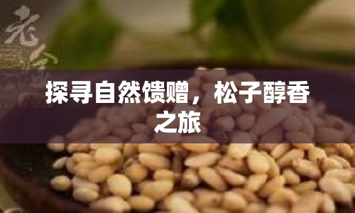 探尋自然饋贈，松子醇香之旅