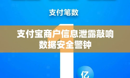 支付寶商戶信息泄露敲響數(shù)據(jù)安全警鐘