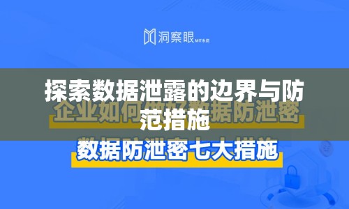 探索數(shù)據(jù)泄露的邊界與防范措施