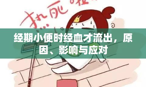 經(jīng)期小便時(shí)經(jīng)血才流出，原因、影響與應(yīng)對