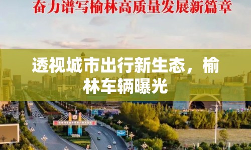 透視城市出行新生態(tài)，榆林車輛曝光