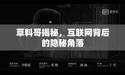草料哥揭秘，互聯(lián)網(wǎng)背后的隱秘角落
