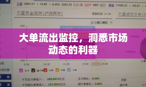 大單流出監(jiān)控，洞悉市場(chǎng)動(dòng)態(tài)的利器