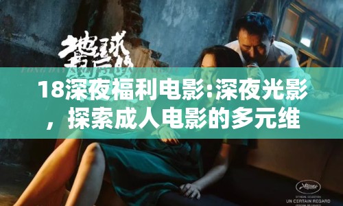 18深夜福利電影:深夜光影，探索成人電影的多元維度