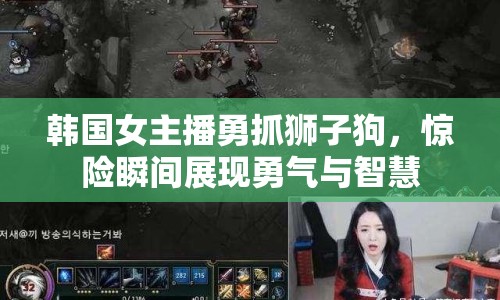 韓國女主播勇抓獅子狗，驚險(xiǎn)瞬間展現(xiàn)勇氣與智慧