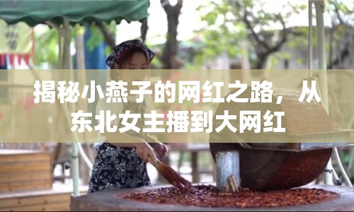 揭秘小燕子的網紅之路，從東北女主播到大網紅