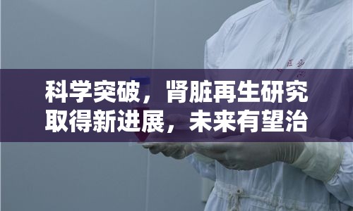 科學(xué)突破，腎臟再生研究取得新進(jìn)展，未來(lái)有望治愈腎臟疾病