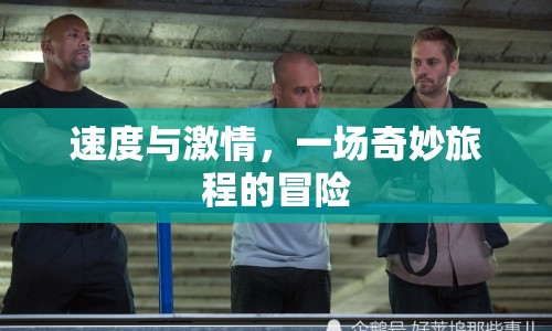 速度與激情，一場奇妙旅程的冒險