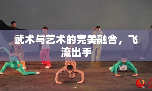 武術(shù)與藝術(shù)的完美融合，飛流出手