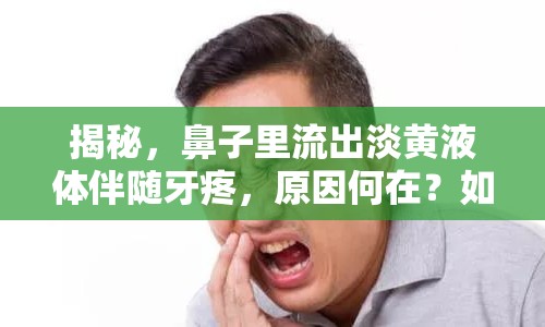 揭秘，鼻子里流出淡黃液體伴隨牙疼，原因何在？如何應(yīng)對？
