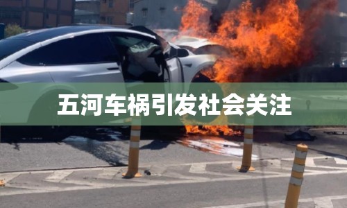 五河車禍引發(fā)社會關注