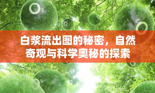 白漿流出圖的秘密，自然奇觀與科學奧秘的探索