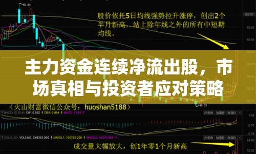主力資金連續(xù)凈流出股，市場真相與投資者應對策略