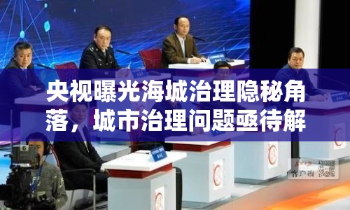 央視曝光海城治理隱秘角落，城市治理問題亟待解決