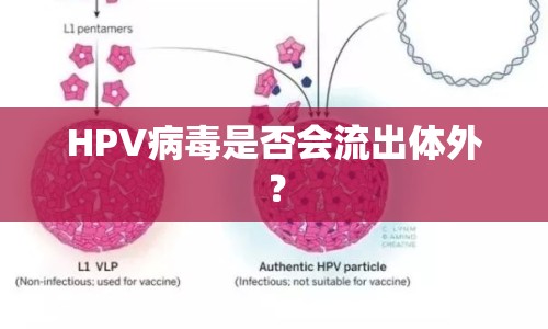 HPV病毒是否會流出體外？