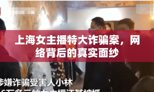 上海女主播特大詐騙案，網(wǎng)絡(luò)背后的真實面紗