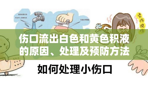 傷口流出白色和黃色積液的原因、處理及預(yù)防方法