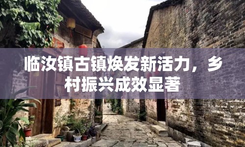 臨汝鎮(zhèn)古鎮(zhèn)煥發(fā)新活力，鄉(xiāng)村振興成效顯著