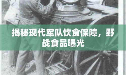 揭秘現(xiàn)代軍隊(duì)飲食保障，野戰(zhàn)食品曝光