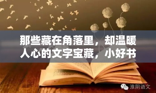 那些藏在角落里，卻溫暖人心的文字寶藏，小好書(shū)曝光