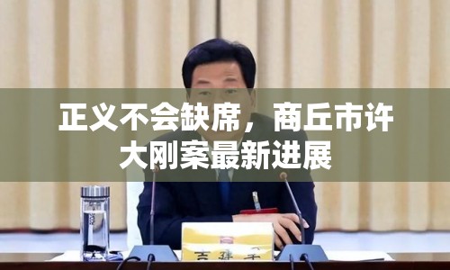 正義不會(huì)缺席，商丘市許大剛案最新進(jìn)展