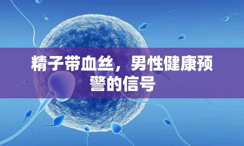 精子帶血絲，男性健康預(yù)警的信號(hào)
