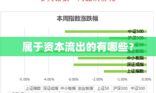 屬于資本流出的有哪些？