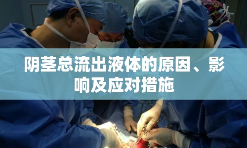 陰莖總流出液體的原因、影響及應(yīng)對(duì)措施