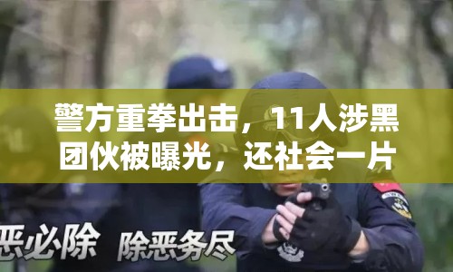 警方重拳出擊，11人涉黑團(tuán)伙被曝光，還社會一片安寧