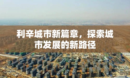 利辛城市新篇章，探索城市發(fā)展的新路徑
