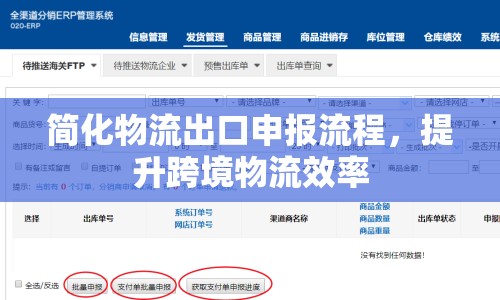 簡化物流出口申報流程，提升跨境物流效率