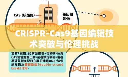 CRISPR-Cas9基因編輯技術(shù)突破與倫理挑戰(zhàn)