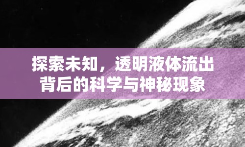 探索未知，透明液體流出背后的科學(xué)與神秘現(xiàn)象