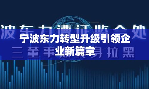 寧波東力轉(zhuǎn)型升級引領企業(yè)新篇章