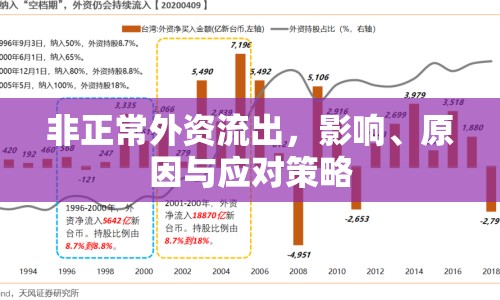 非正常外資流出，影響、原因與應(yīng)對策略