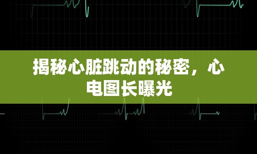 揭秘心臟跳動(dòng)的秘密，心電圖長曝光