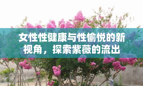 女性性健康與性愉悅的新視角，探索紫薇的流出